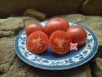 Sweet Carneros Pink Tomato by Brad Gates