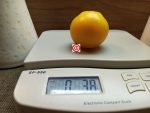 Dwarf Golden Heart Tomato - Image 5