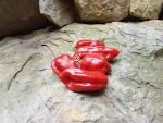 7 Pot Madballz Pepper