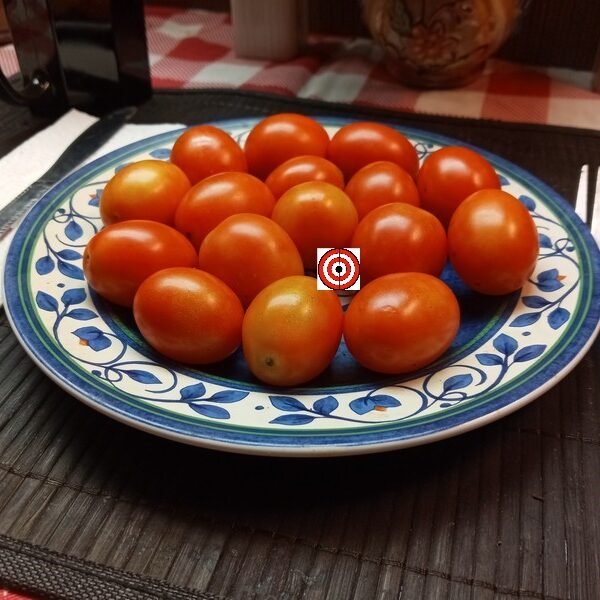 A Grappoli D Inverno Tomato