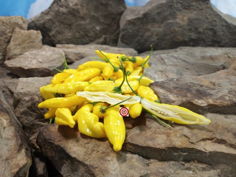 Aji Lemon Drop Pepper Cooking Peppers. Aji Lemon Drop Pepper Cooking Peppers.
