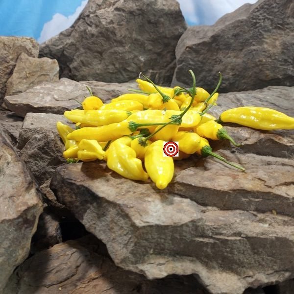 Aji Lemon Drop Pepper Yellow Pepper.