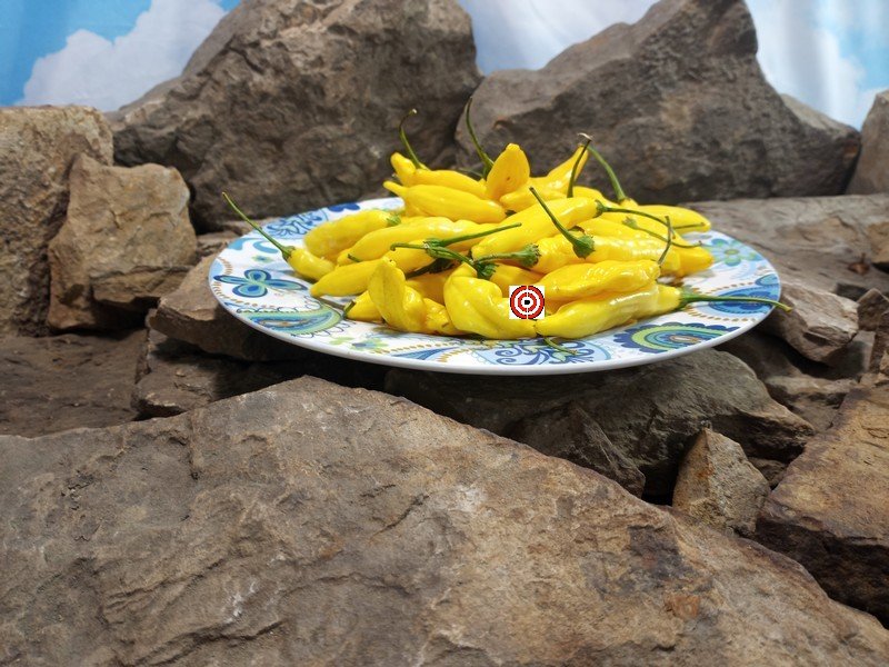 Aji Lemon Drop Pepper. Aji Lemon Drop Pepper.