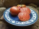 Amarillo Red Stripes Tomato