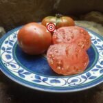 Amarillo Red Stripes Tomato