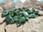 Ancho Poblano Pepper - Image 7