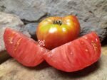 Macs Pride RL Tomato - Image 4