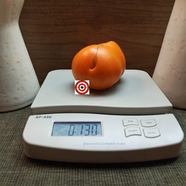 BTO Tomato