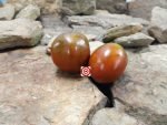 Black Emperor Tomato