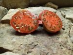 Blaue Kasachstan Tomato