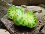 Brad Gates Summer Love Tomato
