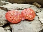 Bull's Heart Red Tomato