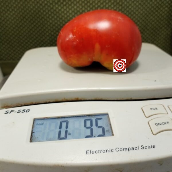 Burpee Giant Dwarf Tomato Patio Tomatoes