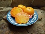 Butter N Eggs Tomato