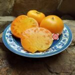 Butter N Eggs Tomato