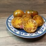 Butterscotch Stripes Tomato