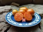 Candy Sweet Large Tomato