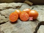 Candy Sweet Large Tomato Seeds