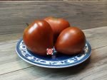 Chocolate Heart Tomato by Reinhard Kraft