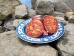 Cosmos Tomato Seeds.