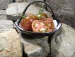 Crazy Horse Tomato