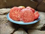 Cutler's Heirloom Red Tomato