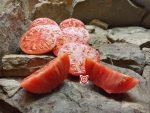 Cutlers Heirloom Tomato