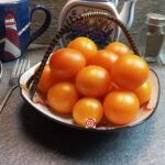Darby Stripe Tomato