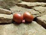 Dwarf Grape Nehi Tomato - Image 2