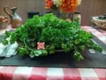 Deep Forest Parsley