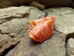 Depp's Pink Firefly Tomato - Image 2
