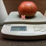 Depp's Pink Firefly Tomato