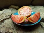 Depp's Pink Firefly Tomato - Image 3
