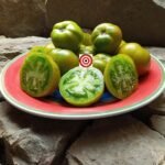 Dwarf Grandpa Gary's Green Tomato