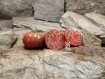 Dwarf Grape Nehi Tomato - Image 10