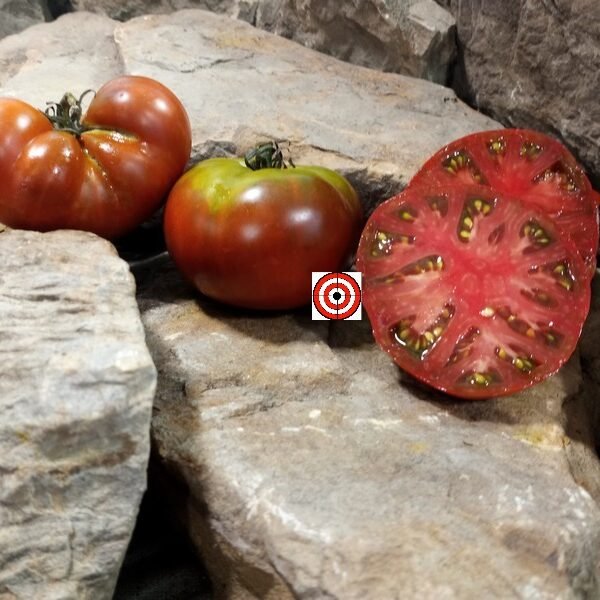 Dwarf Kookaburra Crackle Tomato.