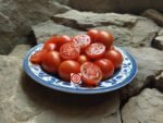 Dwarf Maskokta Tomato