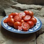 Dwarf Maskokta Tomato