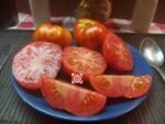 Dwarf Merlin RL Tomato Seeds