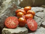 Merlin RL Dwarf Tomato - Image 4