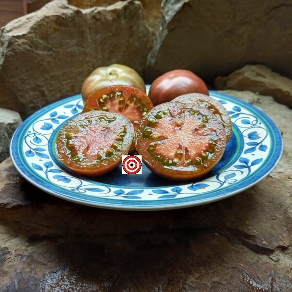 Dwarf Perth's Pride Tomato
