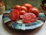 Dwarf Rosella Crimson Tomato