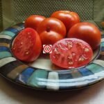 Dwarf Rosella Crimson Tomato