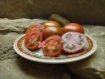 Dwarf Sarandipty Tomato