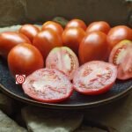 Dwarf Sneaky Sauce Tomato