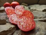 Dwarf Stone Red Tomato