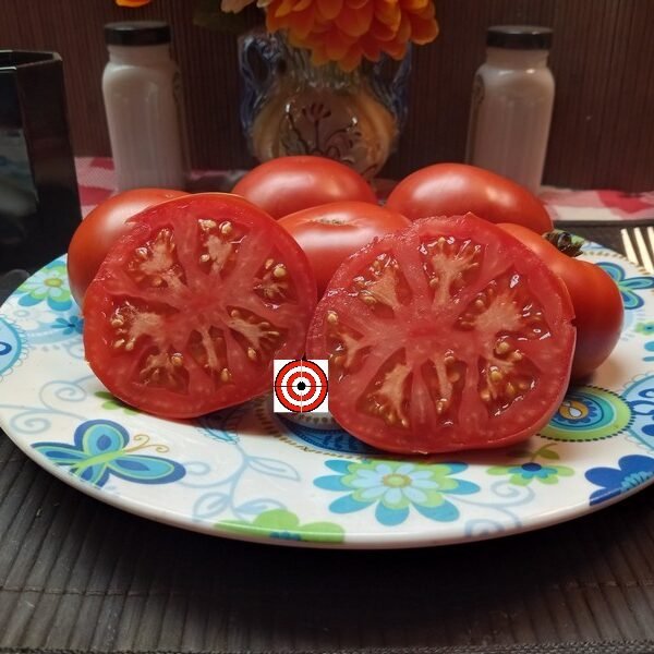 Dwarf Stone Tomato