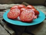 Dwarf Stone Tomato Seeds