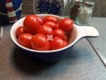 Dwarf Sweet For The Children Plum Tomato