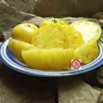 Dwarf Sweet Sue Tomato